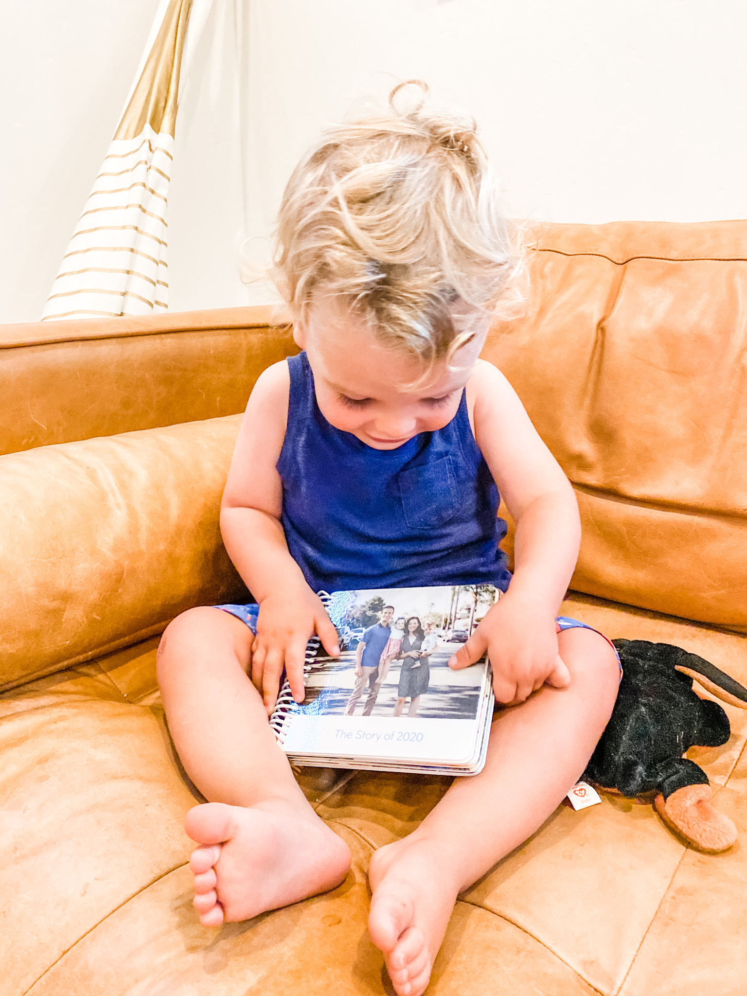 creating-family-board-books-with-pinhole-press-the-paper-dart